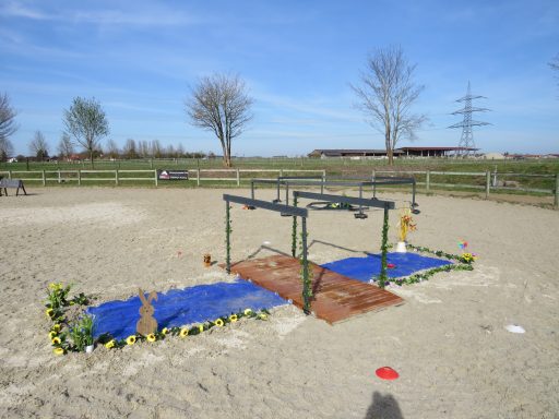 Working Equitation