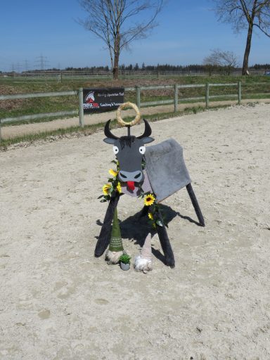 Working Equitation